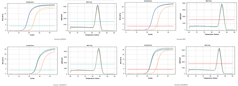 使用TransGen產(chǎn)品，以200 ng RNA、200 ng RNA+200 ng gDNA、200 ng gDNA為  模板進(jìn)行反轉錄后定量擴增不同基因。結果表明，TransGen產(chǎn)品具有強的gDNA去除能力。