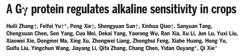 助力科研，全式金反轉錄和qPCR產(chǎn)品榮登Science