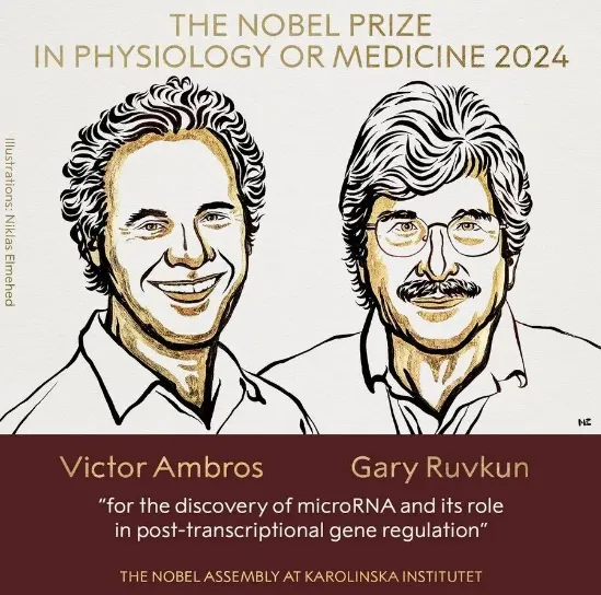 2024年諾貝爾生理學(xué)或醫學(xué)獎獲獎?wù)?，Victor Ambros和Gary Ruvkun