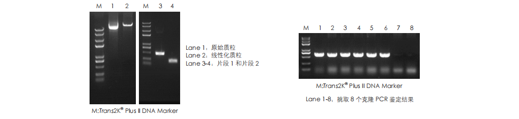 客戶(hù)反饋數據 客戶(hù)反饋數據