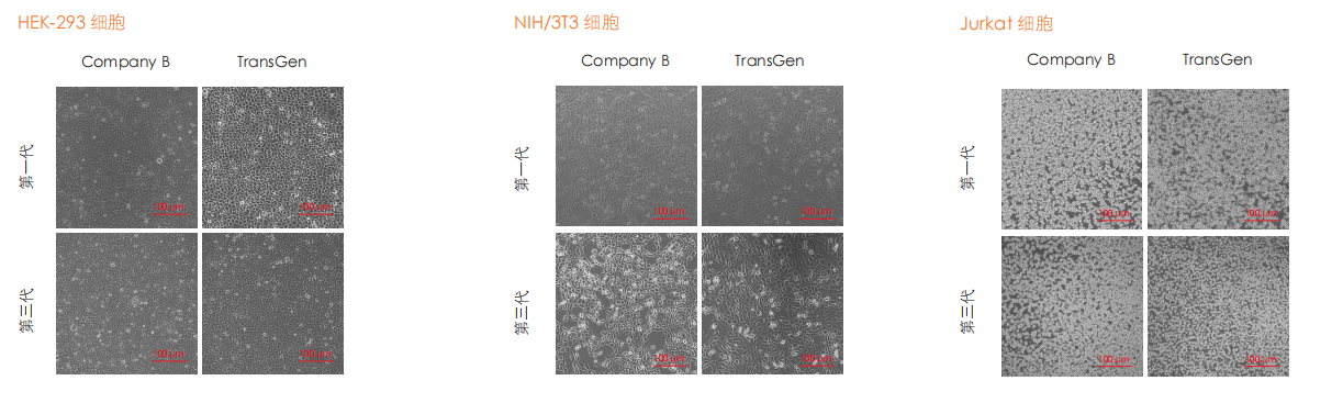 普通細胞培養圖 ( 部分結果 ) 普通細胞培養圖 ( 部分結果 )