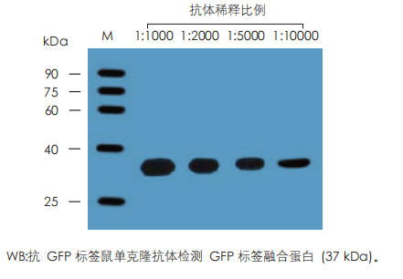 數據展示 數據展示